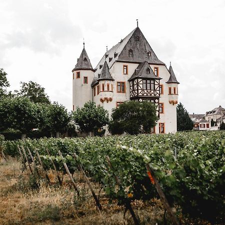 Schloss Schoenborn Geisenheim Εξωτερικό φωτογραφία