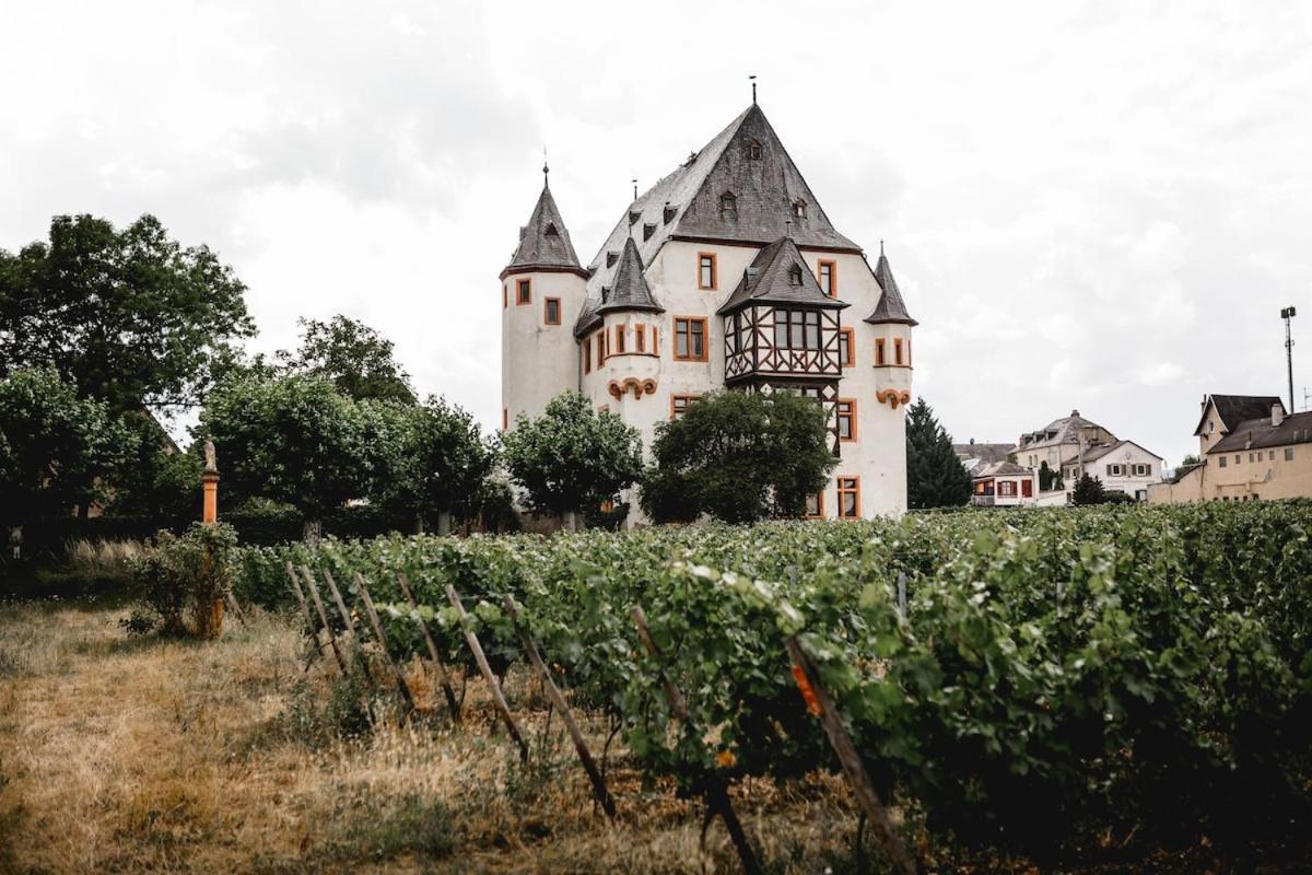 Schloss Schoenborn Geisenheim Εξωτερικό φωτογραφία