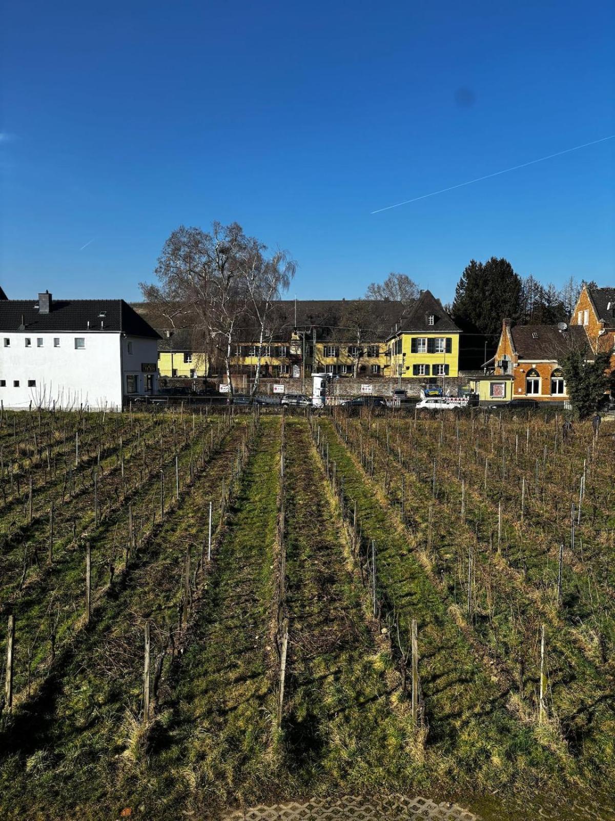 Schloss Schoenborn Geisenheim Εξωτερικό φωτογραφία