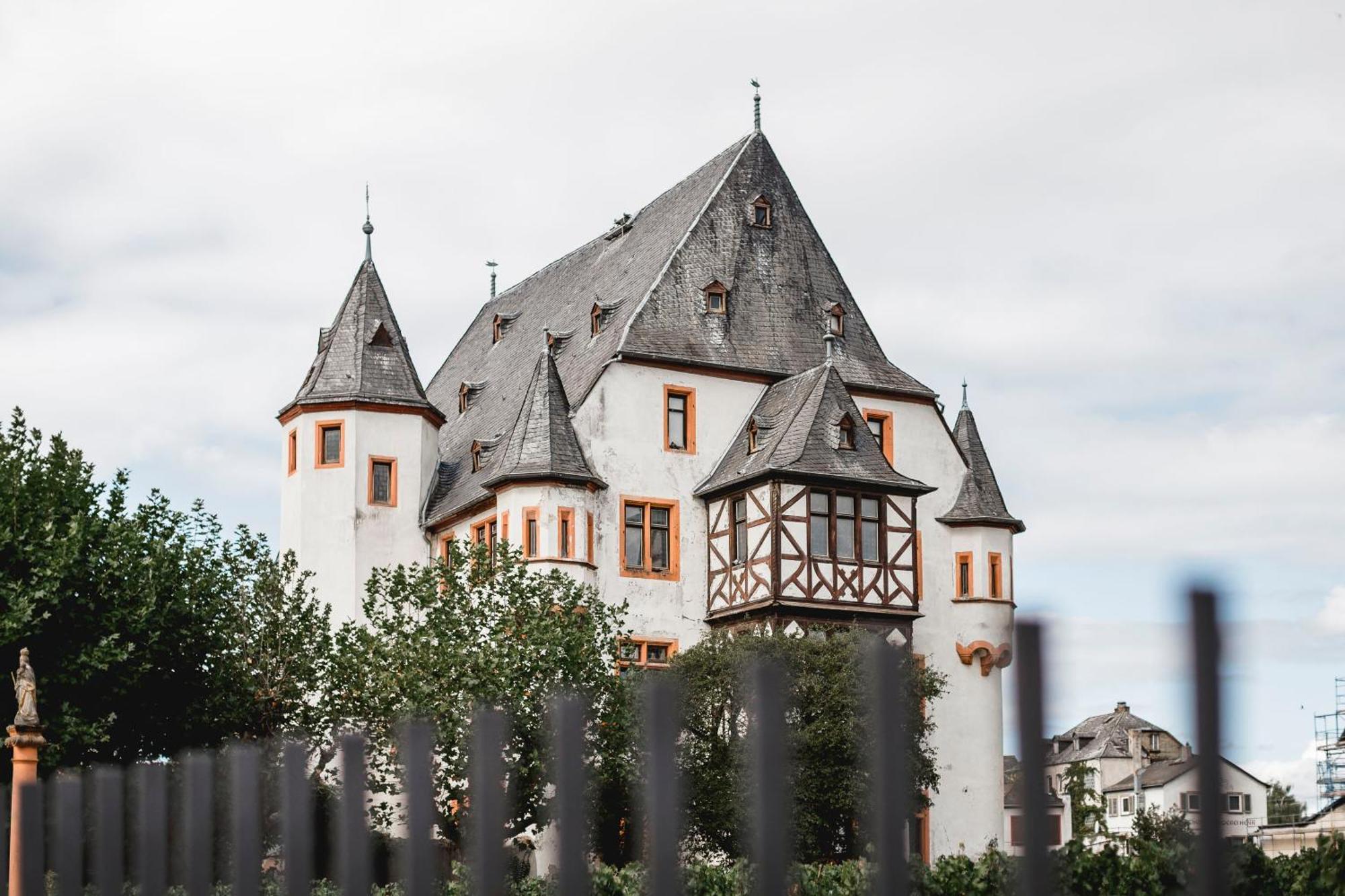 Schloss Schoenborn Geisenheim Εξωτερικό φωτογραφία
